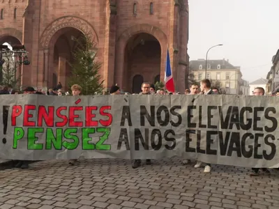 Dermatose nodulaire : des éleveurs mobilisés à Munster pour...