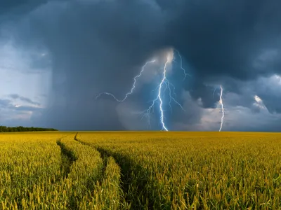 Orages : l’Alsace placée en vigilance jaune pour la journée