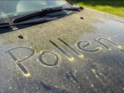 Allergies au pollen : une hausse inquiétante qui pourrait peser sur...