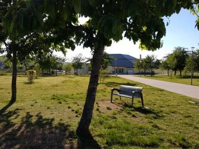 Marsannay-la-Côte : cérémonie, spectacles, cinéma et jeux… un mois...