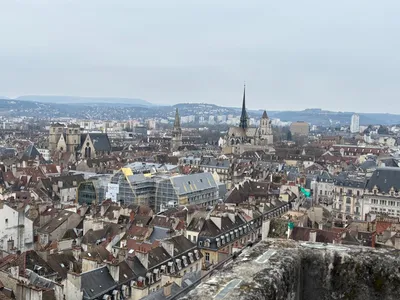 « L'arbre à souhait » du centre ville : les commerçants dans...