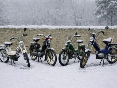 Une vente aux enchères de mobylettes en plein Dijon ce vendredi