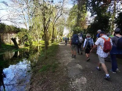 Municipales 2026 à Dijon : un collectif piétons adresse un...