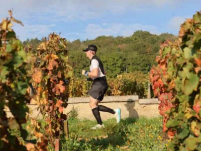 Marathon des Grands Crus : déjà la moitié des dossards vendus !