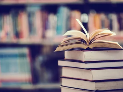 Braderie culturelle à Dijon : plus de 8 000 livres et CD à 1 euro...
