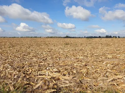 En Côte-d’Or la Chambre d’agriculture juge les aides encore très...