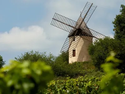 À Santenay, visitez un moulin au milieu des vignes et dégustez un...