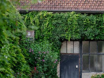 Nuits-Saint-Georges : la Maison Cartron ouvre exceptionnellement...