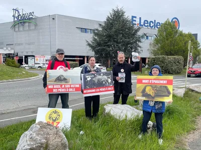 « D’une extrême cruauté » : une association de protection animale...