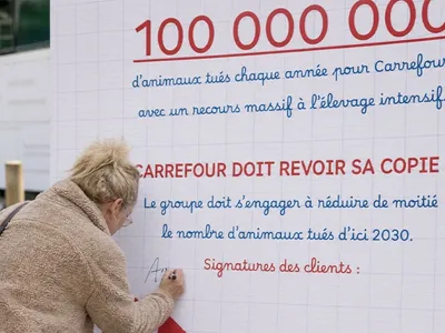 Dijon : L214 organise une « rentrée pas classe » devant Carrefour à...