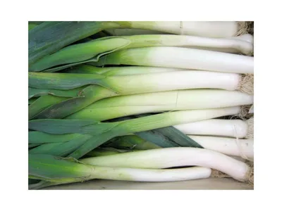 France : alerte sur les poireaux !