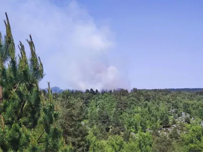 Les incendies de Fontainebleau se calment mais impactent déjà le...