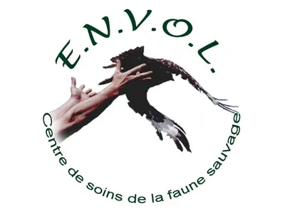 Le centre de soins de la faune sauvage de l’Oise menacé de...