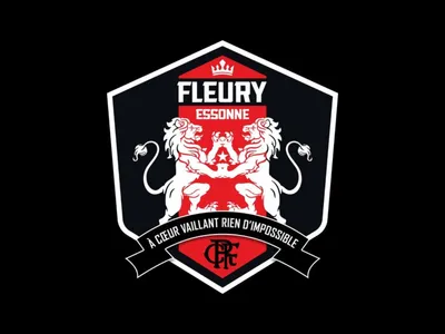 Football : le podium est à portée de main pour le FC Fleury 91 en...