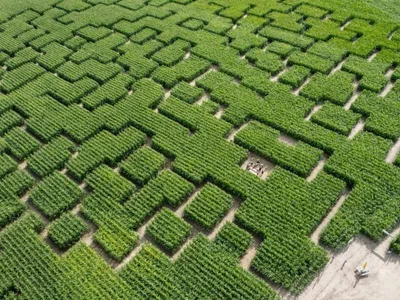 Popcorn Labyrinthe à Rouvres 