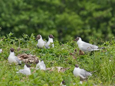 Un espace naturel protégé se révèle en canoë à...