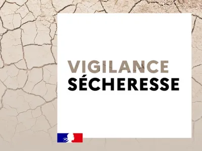 Essonne : la sécheresse estivale inquiète 