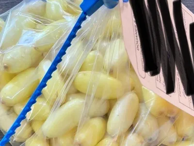 Trafic de drogues : la cocaïne toujours plus accessible en...