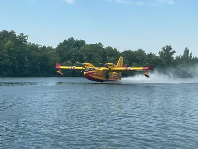 Forêt de Fontainebleau : les feux sont fixés, six personnes en...