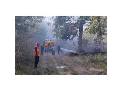 Une enquête ouverte après un violent feu de forêt dans le sud Yvelines