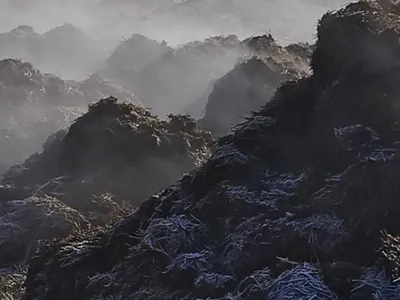 Oise : au royaume du cheval, un immense tas de crotin pourrit le...