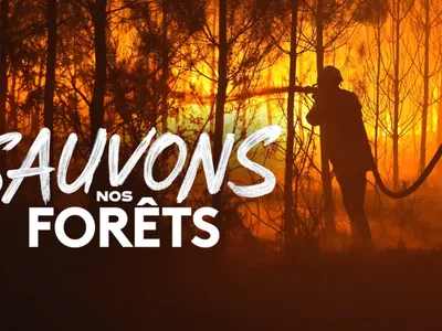 L'émission consacrée aux feux qui ont ravagé la forêt de...
