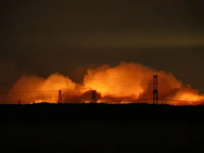 Les différentes conséquences des incendies de Fontainebleau