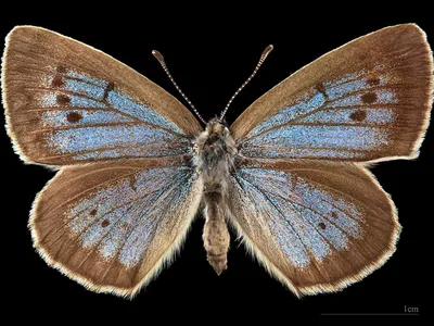 Île-de-France : voici pourquoi vous observez peut-être moins...