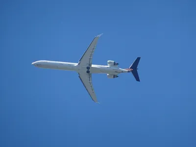 Voyages, loisirs, transports : les chiffres SignalConso dans les...