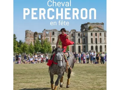 Le cheval percheron célébré au domaine de La Ferté-Vidame