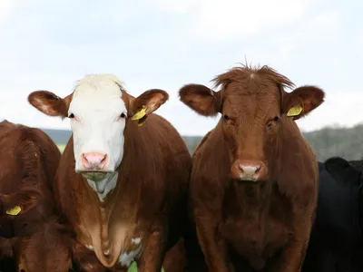 Le préfet d'Eure-et-Loir et les syndicats agricoles qui appellent à...