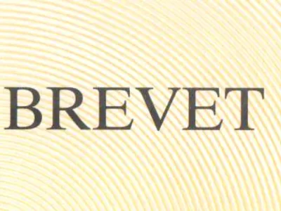 Brevet : les collégiens seine-et-marnais ont mieux réussi dans...