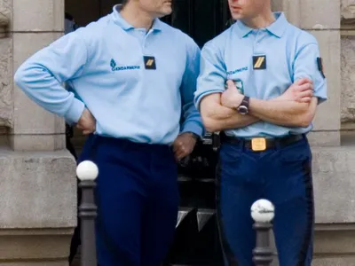 Seine-et-Marne : elle plonge dans le Grand Morin pour sauver son chien