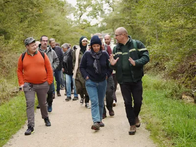 « Tous en forêt » : des balades gratuites avec les forestiers de...