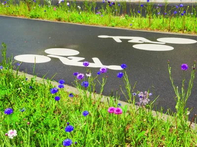 Certains usagers de la route révoltés au Chesnay-Rocquencourt après...