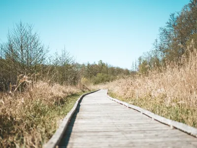 Un marais aux espèces rares ouvert au public à Souppes‑sur‑Loing