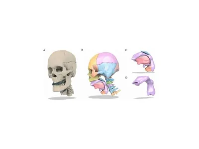 Des chercheurs yvelinois ont fait parler Henri IV