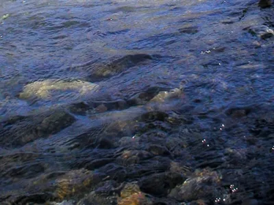 Île-de-France : le Plan Baignade se prépare avant l'été !