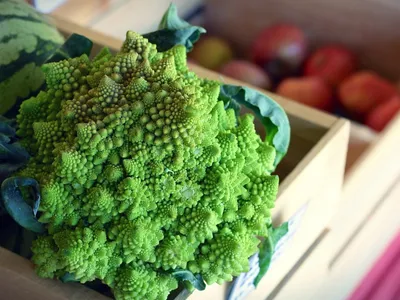 Le marché restera ouvert le 1er mai À Dreux