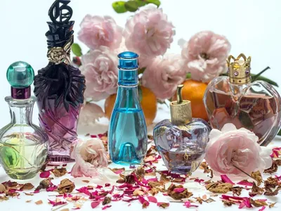 Chartres : une maison de la cosmétique va s'installer