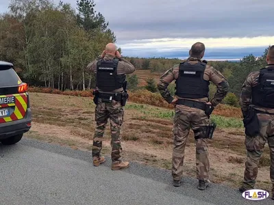 Le brame du cerf sous surveillance au camp militaire de La Courtine