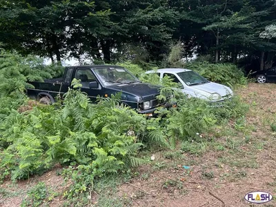 Les gendarmes luttent contre les atteintes à l’environnement