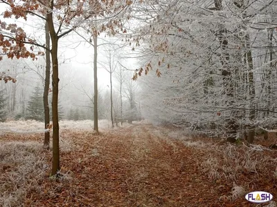Plan Hivernal : passage au Niveau 1 'Temps froid' en Creuse
