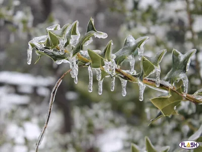 Limousin : vigilance orange Neige - Verglas