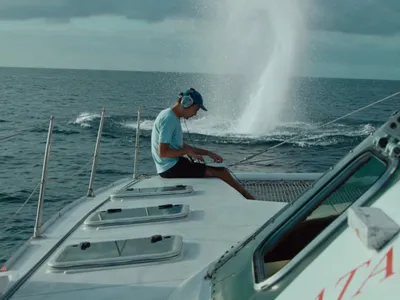 Rone, l’artiste qui parle aux baleines