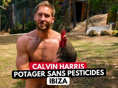Calvin Harris : sa vie secrète au cœur d’une ferme biologique à Ibiza