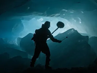 Thylacine capture la Suisse !