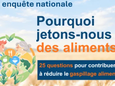 "Pourquoi jetons-nous des aliments ?" lancement de l'enquête nationale