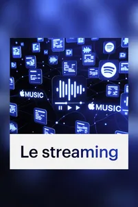 Music story du jour : Les revenus du streaming