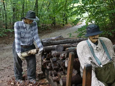 Les Journées de la Forêt s'ouvrent aujourd'hui à Thaon-les-Vosges